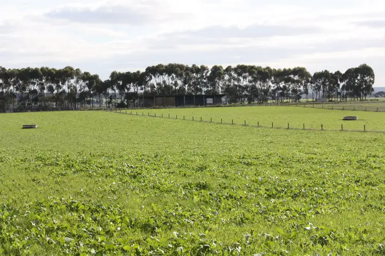 Seventh view of Homely rural property listing, 149 Louth Swamp Road, Byaduk VIC 3301