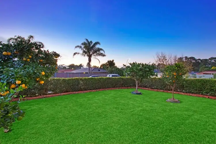 Seventh view of Homely house listing, 11 Harradine Crescent, Bligh Park NSW 2756