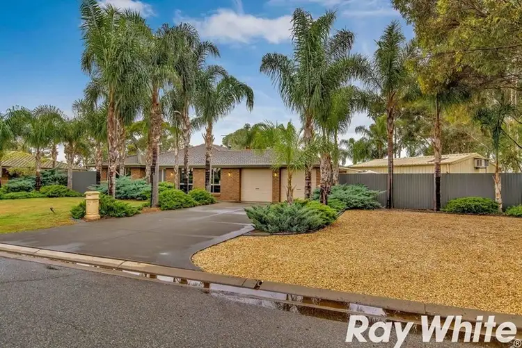 Main view of Homely house listing, 25 Palomino Drive, Angle Vale SA 5117