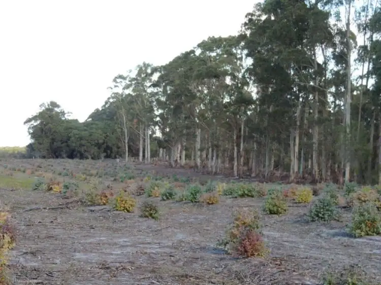 Third view of Homely rural property listing, 1583 Bandit Road, Denmark WA 6333