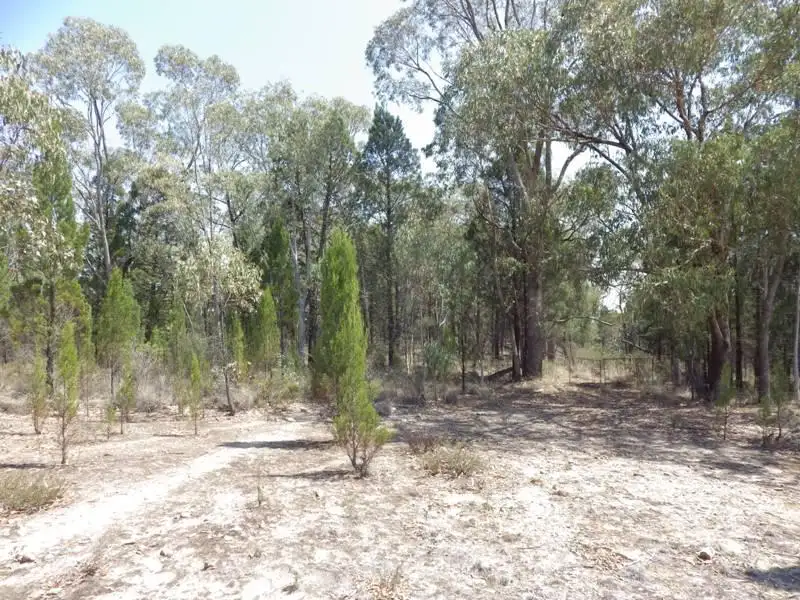 Main view of Homely rural property listing, Lot 9 Warrumba Road, Cowra NSW 2794