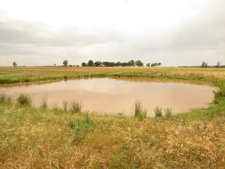 Seventh view of Homely rural property listing, "Hillview" Goldfields Way, Temora NSW 2666