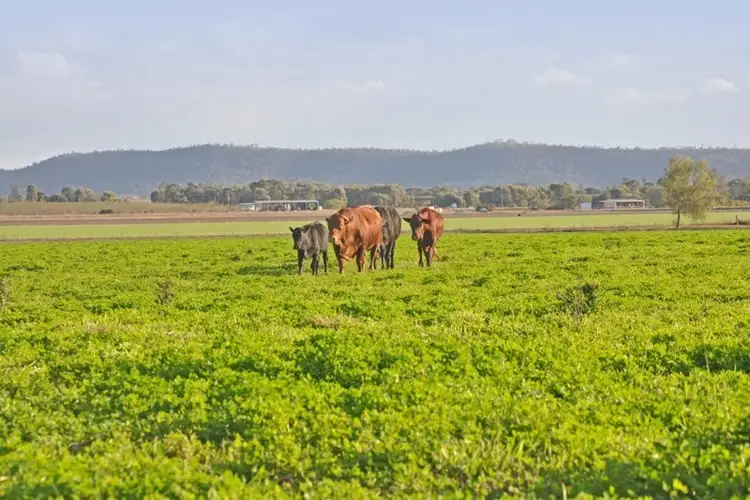 Second view of Homely rural property listing, 0 Bensons Road, Theodore QLD 4719