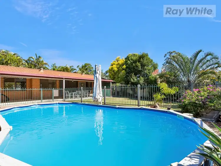51 Wilson Drive, Camira QLD 4300