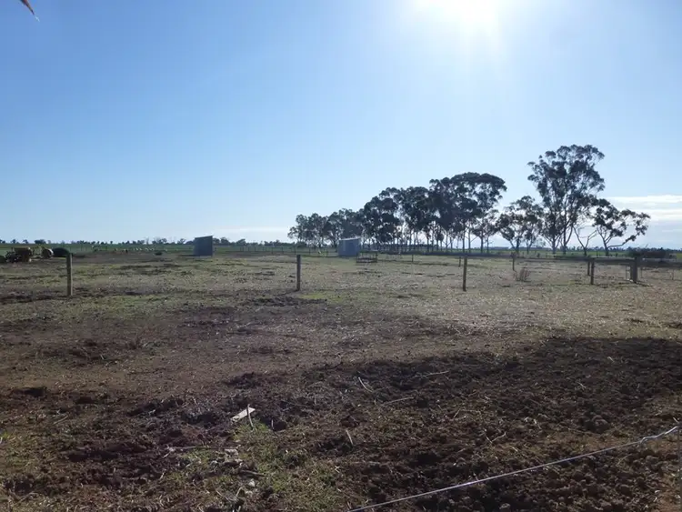 Fifth view of Homely house listing, 1039 Echuca Nanneella Road, Echuca VIC 3564