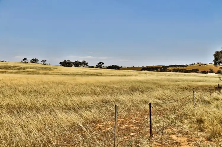 Sixth view of Homely rural property listing, "Tarnma Block" Curio Highway, Hampden SA 5374
