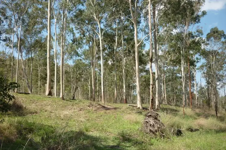 Sixth view of Homely rural property listing, "Allhills" 1 Nearum Road, Gin Gin QLD 4671