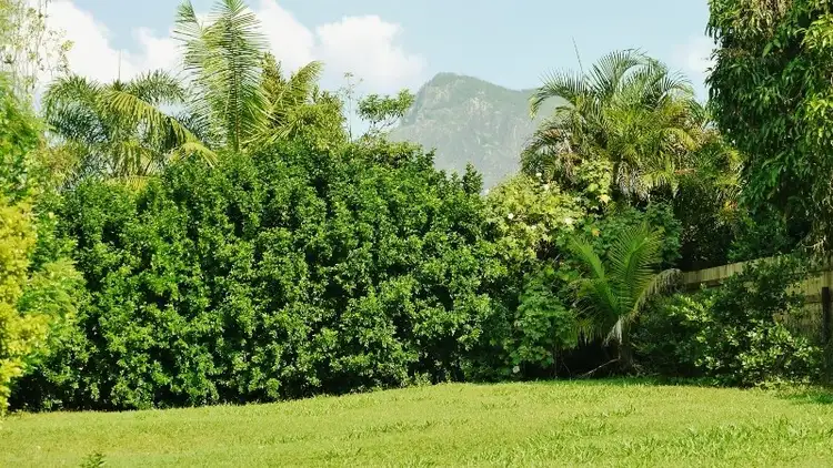 Fifth view of Homely house listing, 42 Hillside Road, Glass House Mountains QLD 4518