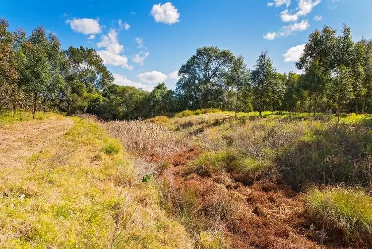 Third view of Homely rural property listing, 1292 Wang Wauk Road, Nabiac NSW 2312