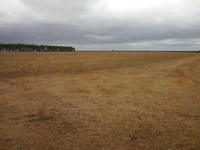 Seventh view of Homely rural property listing, Lot 2810 Eulup-Manurup Road, Mount Barker WA 6324