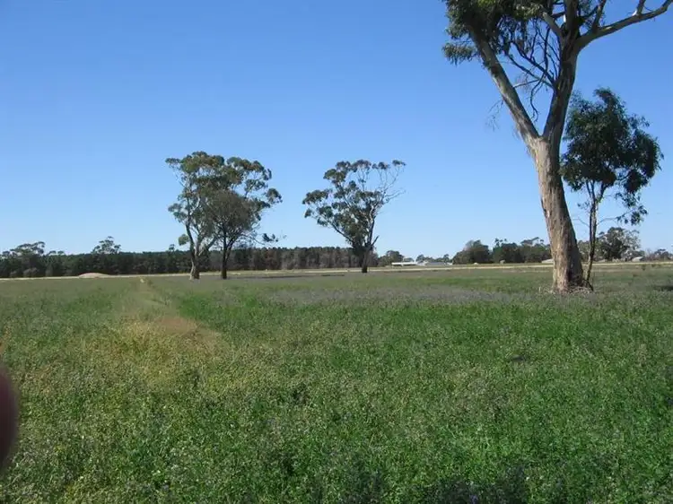 388 Cooper Road, Western Flat SA 5268