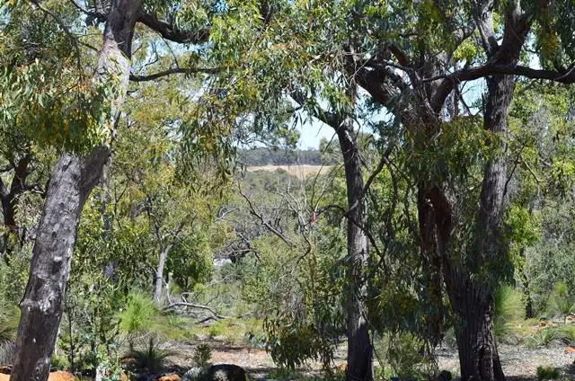 Fourth view of Homely land listing, 47 Tooday Glen, Chittering WA 6084