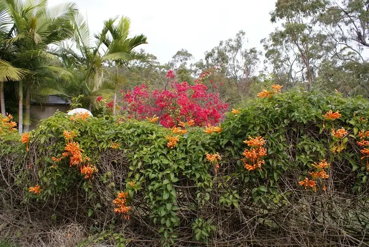 Sixth view of Homely house listing, 619 Murphy Road, Captain Creek QLD 4677