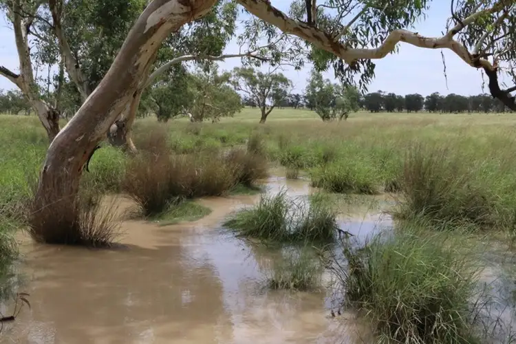 Fourth view of Homely rural property listing, 0 ALVALEA East, Roma QLD 4455