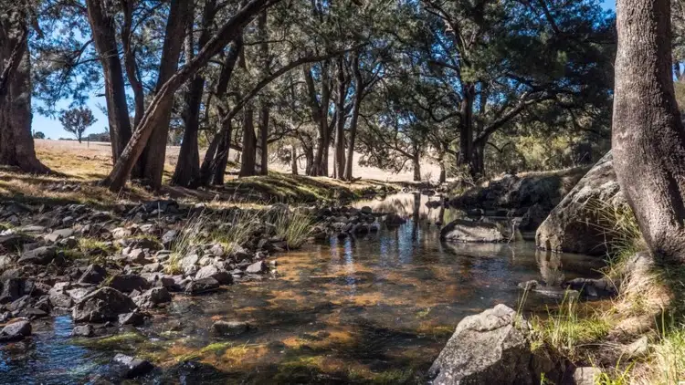 Second view of Homely rural property listing, Bellbrook 885 Warrane Road, Armidale NSW 2350