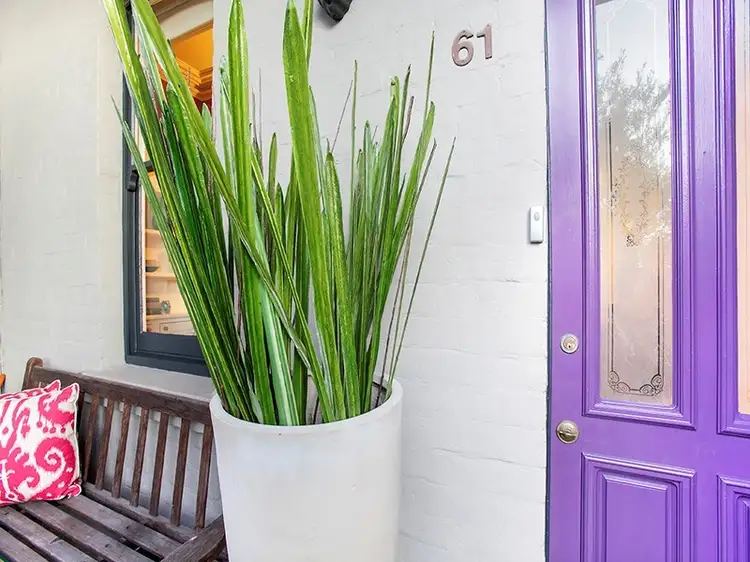 61 Grove Street, Birchgrove NSW 2041