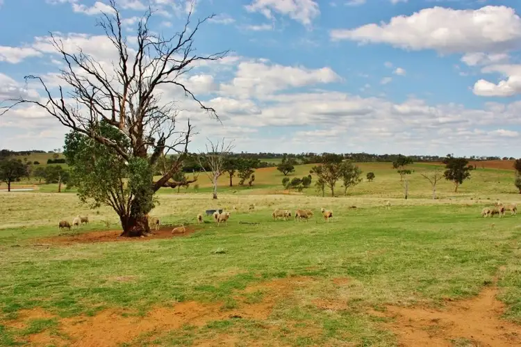 Fourth view of Homely land listing, Lot 16 Golden Grove Road, Young NSW 2594