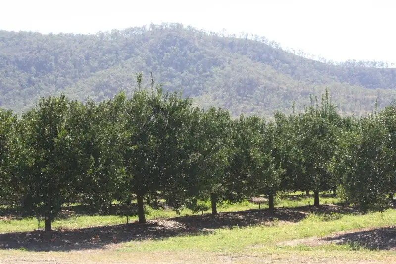 Main view of Homely rural property listing, 416 Gayndah-Mundubbera Road, Gayndah QLD 4625