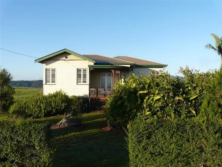 Fourth view of Homely rural property listing, 935 to 983 Palmerston Highway, Innisfail QLD 4860