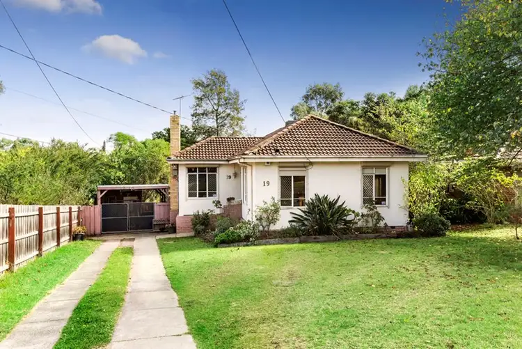 19 Jingella Avenue, Ashwood VIC 3147