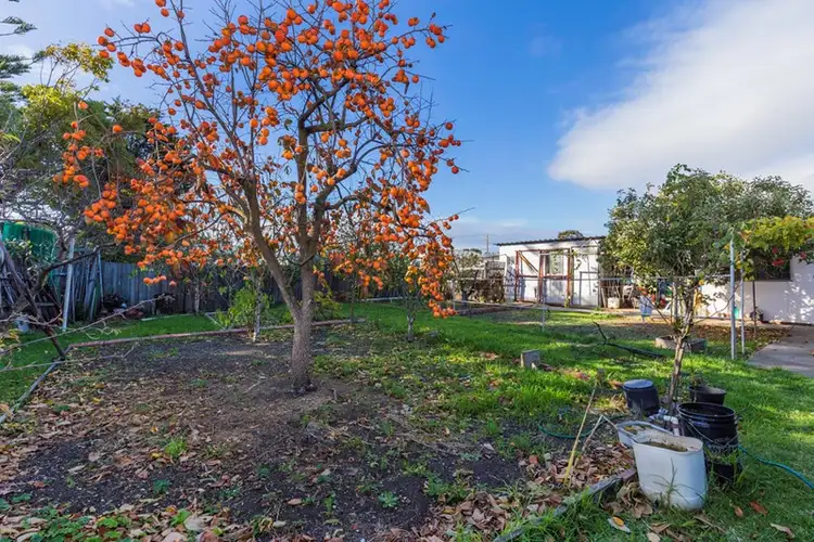 Seventh view of Homely house listing, 124 Princes Highway, Norlane VIC 3214