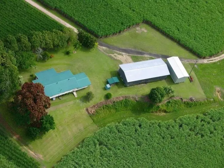Main view of Homely rural property listing, 630-674 Syndicate Road, Miallo QLD 4873