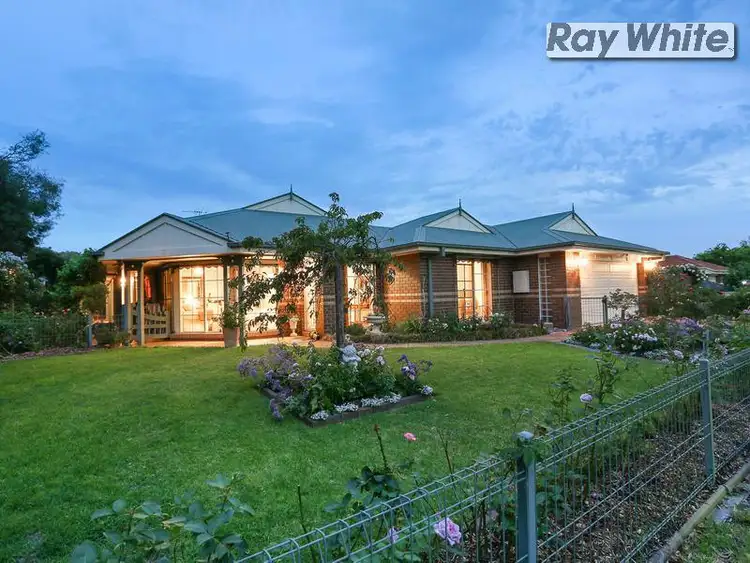 Main view of Homely house listing, 41 - 43 Banksia Place, Rosebud VIC 3939