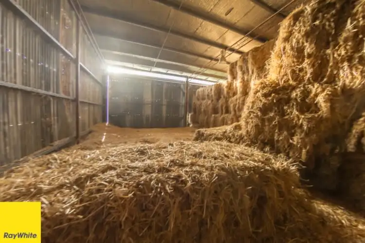 Seventh view of Homely rural property listing, 194 Quidong Road, Tumut NSW 2720