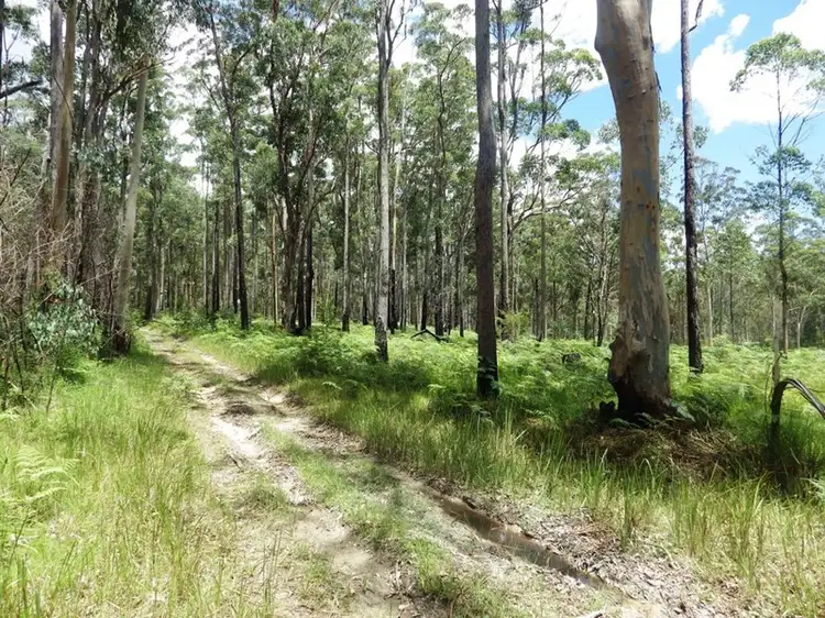Main view of Homely rural property listing, 1038 Ellis Road, Clouds Creek NSW 2453