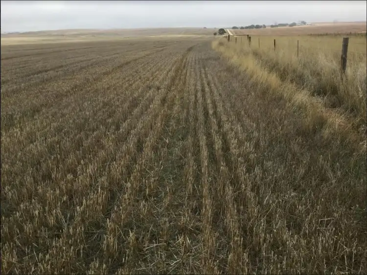 Third view of Homely rural property listing, 2 Lots, Manilla and Iron Mind Road, Hanson SA 5417