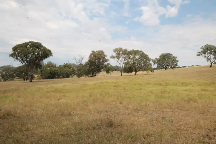 33 Warks Road, Young NSW 2594