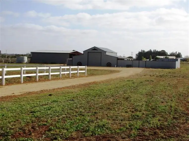 Third view of Homely rural property listing, 286 Caddy Road, Loveday SA 5345