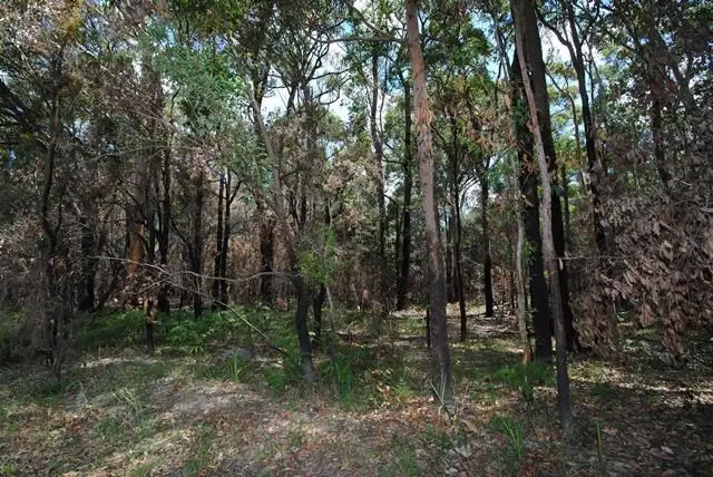 Second view of Homely land listing, 193 Island Point Road, St Georges Basin NSW 2540