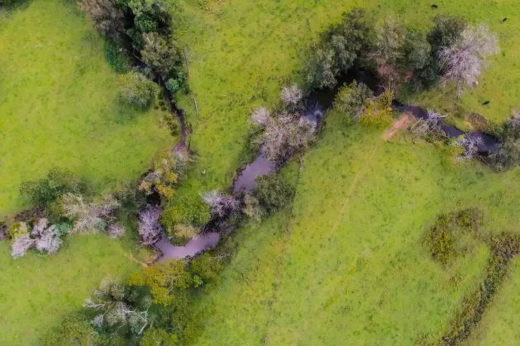Fourth view of Homely rural property listing, 321 Wallaringa Road, Dungog NSW 2420