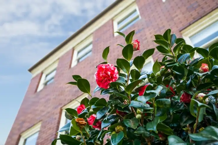 Fourth view of Homely apartment listing, 6/4 Fairlight Crescent, Fairlight NSW 2094