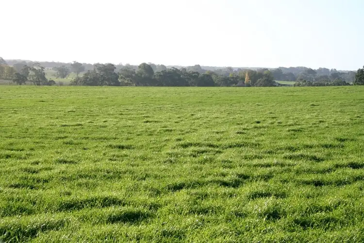 Seventh view of Homely rural property listing, Address available on request