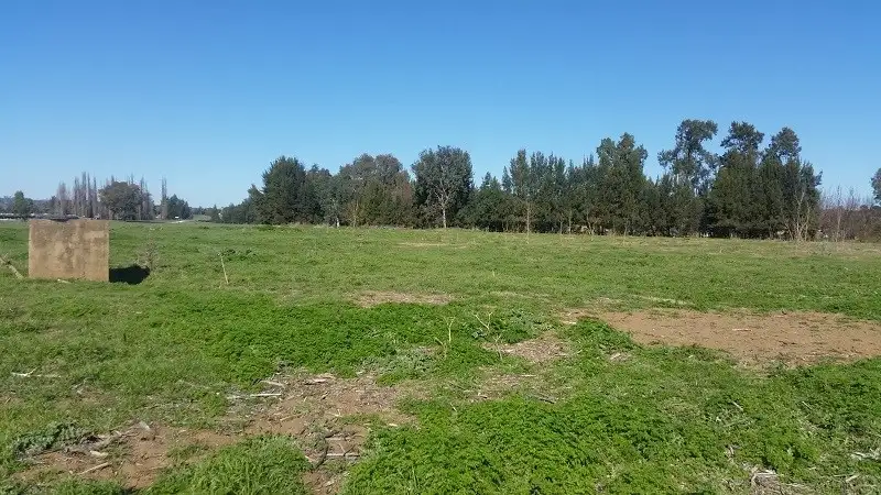 Main view of Homely land listing, Lot 3 Icely Road, Canowindra NSW 2804