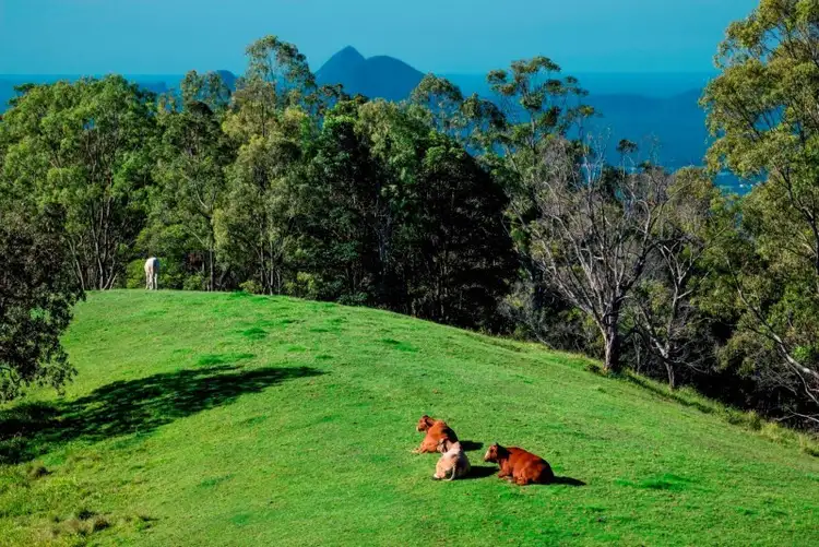 Sixth view of Homely rural property listing, 79 Spicer Crescent, Mount Mee QLD 4521