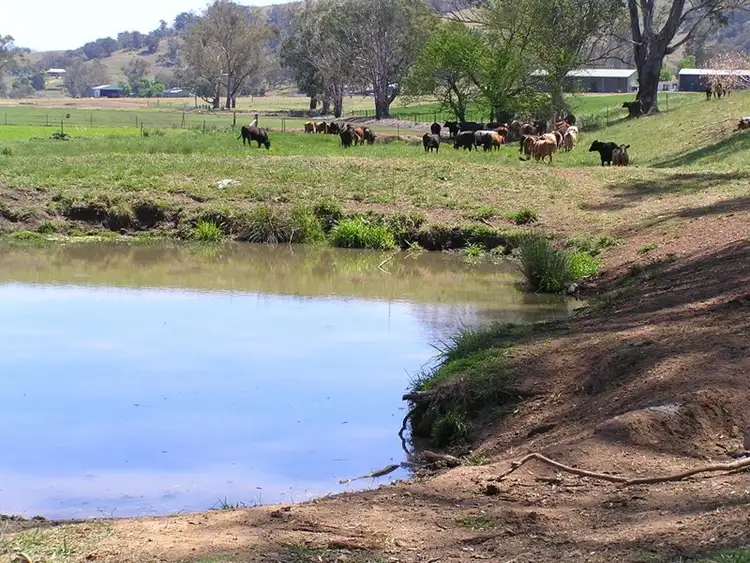 Fourth view of Homely rural property listing, "Waukivory" Lots 12 - 14 Nundle Road, Woolomin NSW 2340