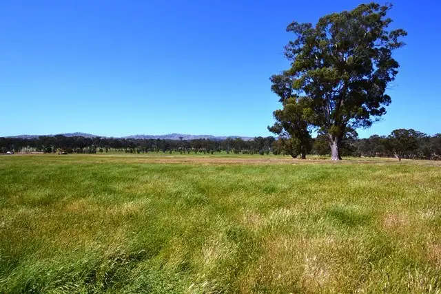 Lot 2 Grey Box Court, Seymour VIC 3660