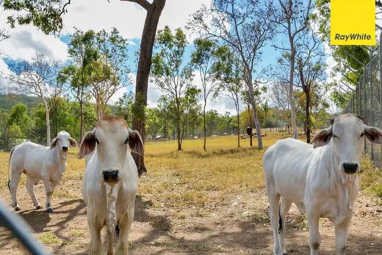 Fourth view of Homely house listing, 2579 Kennedy Highway, Koah QLD 4881