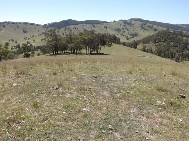 Second view of Homely rural property listing, Lots 1 Carrowbrook Road, Singleton NSW 2330