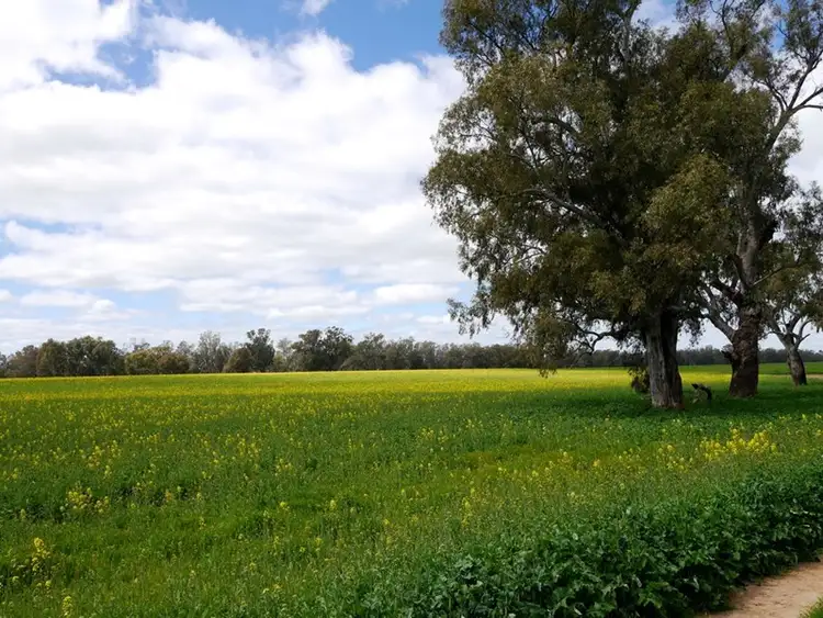 Third view of Homely rural property listing, 1628 Lachlan Valley Way, Cowra NSW 2794