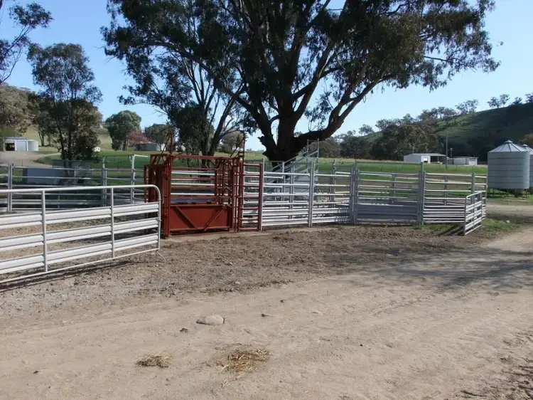Fifth view of Homely rural property listing, 2102 Turondale Road, Bathurst NSW 2795