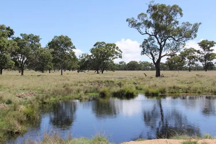Fifth view of Homely rural property listing, 888 Bruxner Highway, Tenterfield NSW 2372
