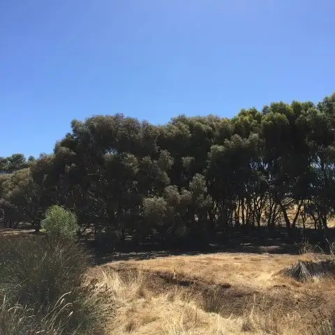 Fifth view of Homely land listing, Lot 106 Moramockining Road, Wandering WA 6308