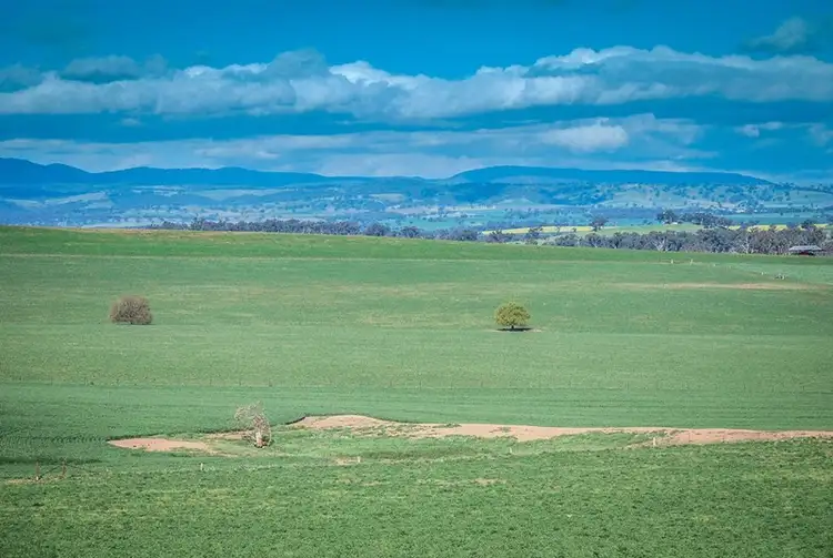 Fifth view of Homely rural property listing, 4435 The Escort Way, Cudal NSW 2864
