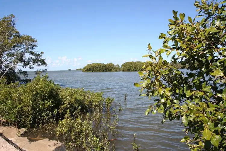 Third view of Homely house listing, 827 Esplanade, Lota QLD 4179