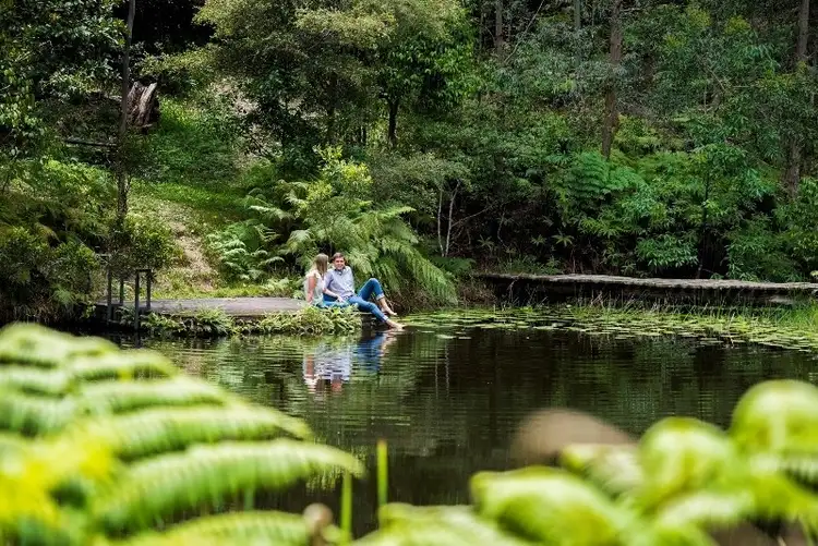 35 Rose Gum Lane, Maleny QLD 4552