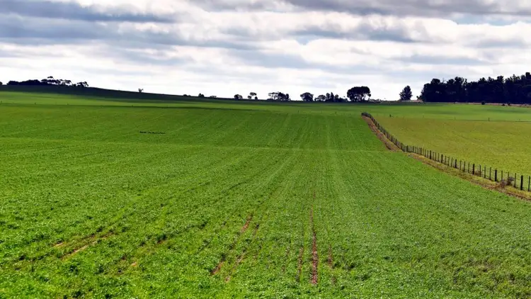 Main view of Homely rural property listing, 3 Lots Julia Road, Eudunda SA 5374